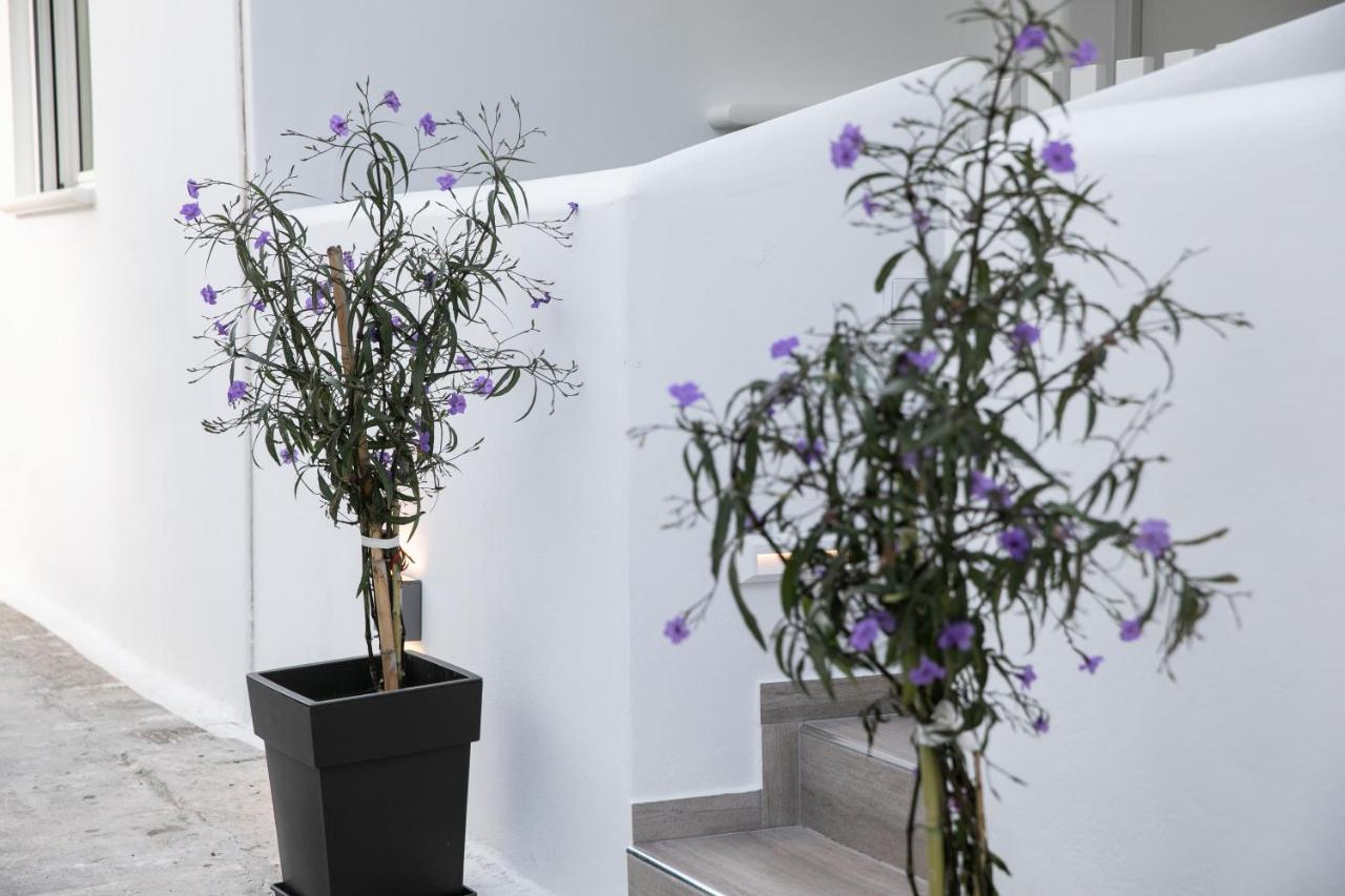 Anemela Studio Lux Naxos City Εξωτερικό φωτογραφία